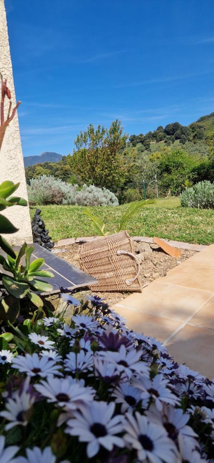 Bed and Breakfast Mare E Monti Chez Thomas Et Magali Vico Exterior foto